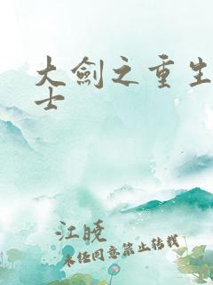 大剑之重生圣骑士