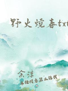 野火烧春txt