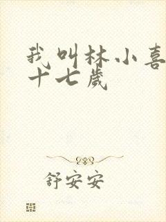 我叫林小喜今年十七岁
