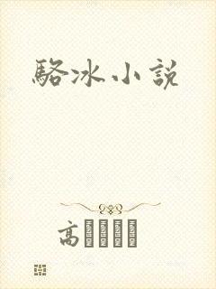 骆冰小说