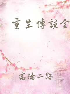 重生传说金手指