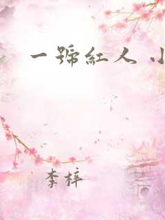 一号红人 小说