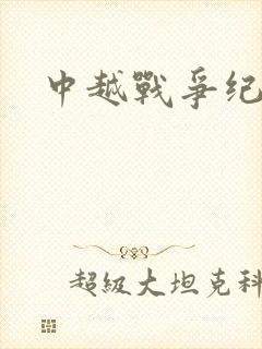 中越战争纪实录