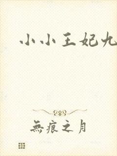 小小王妃九岁半