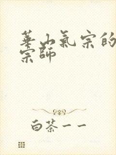 华山气宗的形意宗师