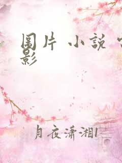 图片 小说 电影