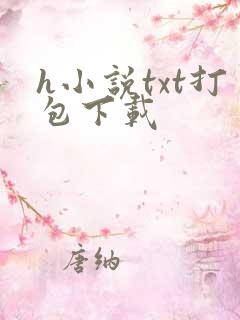 h小说txt打包下载