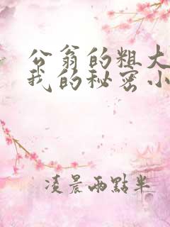 公翁的粗大放进我的秘密小说