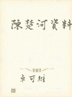 陈楚河资料