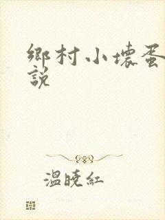 乡村小坏蛋 小说