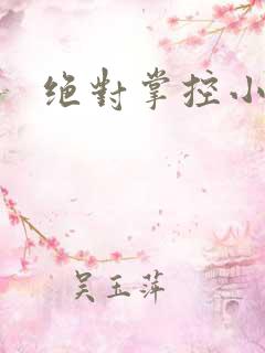 绝对掌控小说