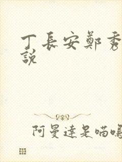 丁长安郑秀兰小说