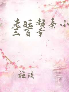 老旺超秦小雨第三百章