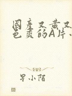 国产又黄又大又色爽的A片小说