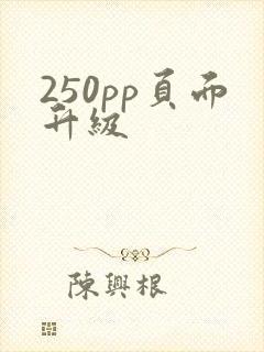 250pp页面升级