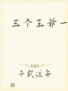 三个王爷一个妃