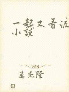 一起又看流星雨小说