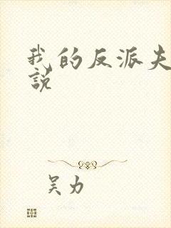 我的反派夫君小说