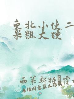 东北小伙二十厘米粗大硬