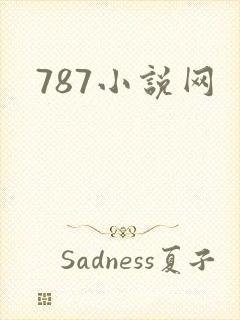 787小说网