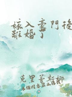 嫁入豪门后我又离婚了