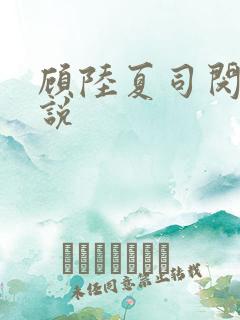 顾陆夏司闵郁小说