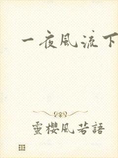 一夜风流下载