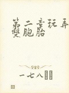 第二章玩弄少妇双胞胎