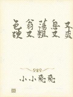 色翁荡息又大又硬又粗又爽小莹