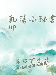 乳荡小秘书高干np