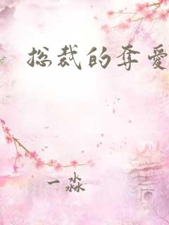 总裁的夺爱游戏