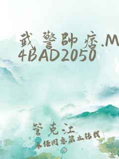 武警帅痞.MP4BAD2050
