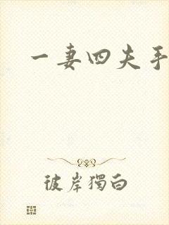 一妻四夫手记