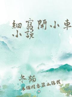 细写开小车车的小说