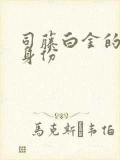 司藤白金的真实身份