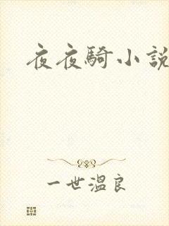 夜夜骑小说