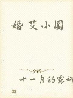 婚 艾小图