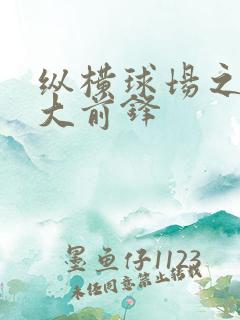 纵横球场之暴力大前锋