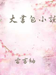 大书包小说