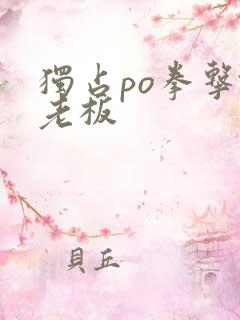 独占po拳击馆老板