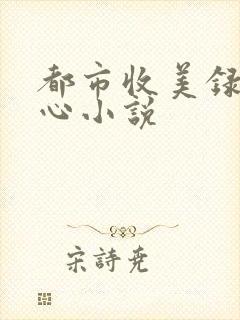 都市收美录宁素心小说