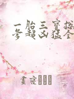 一胎三宝总裁爹爹超凶猛全文免费阅读