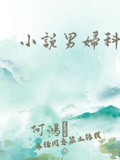 小说男妇科医生