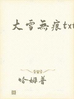 大雪无痕txt