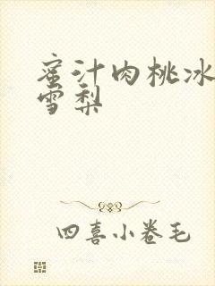 蜜汁肉桃冰糖炖雪梨