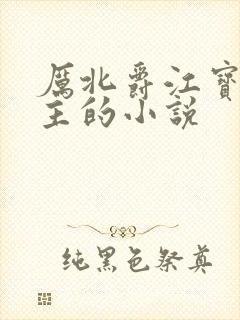 厉北爵江宝宝男主的小说