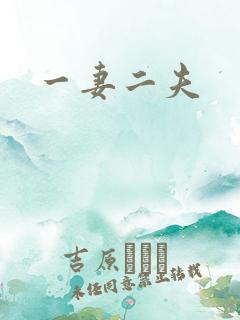 一妻二夫