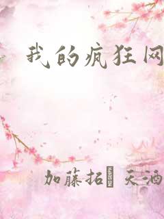 我的疯狂网游史