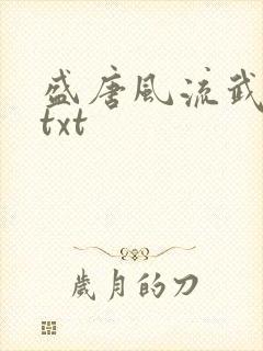 盛唐风流武状元txt