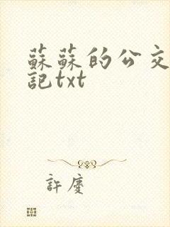 苏苏的公交车日记txt